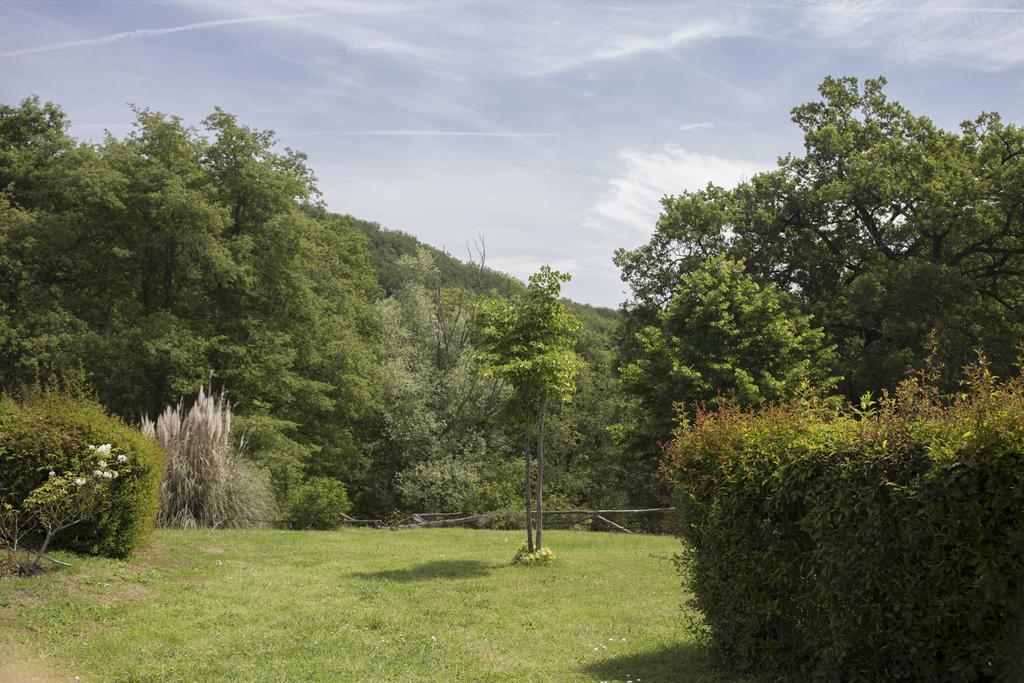 Villa Buonasera Agriturismo Greve in Chianti Exterior photo